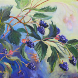 Blackberries II