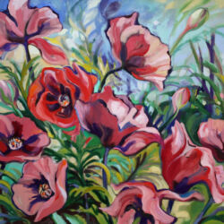Poppies