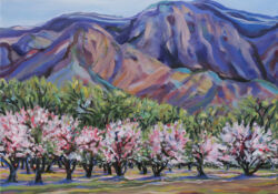 Apple Orchard
